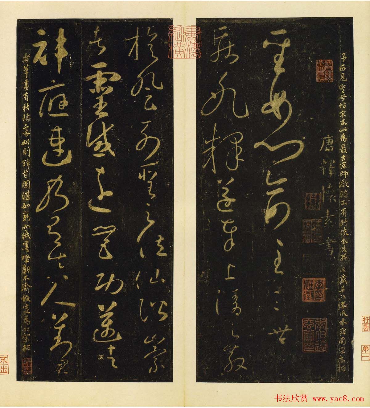 怀素草书欣赏圣母帖高清彩版