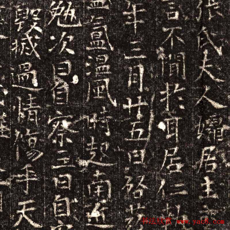 唐萧子昂及夫人高氏合葬墓志