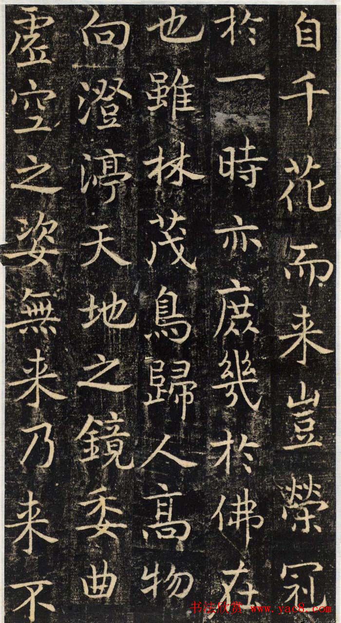 吴通微行楷书法《楚金禅师碑》