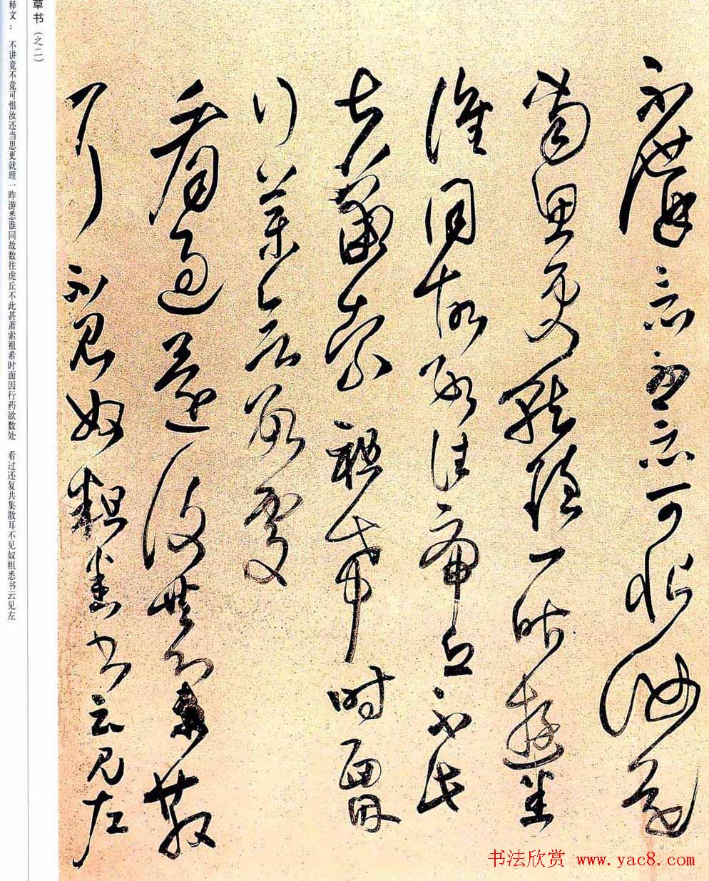 王铎草书欣赏拟汉张芝书法册页