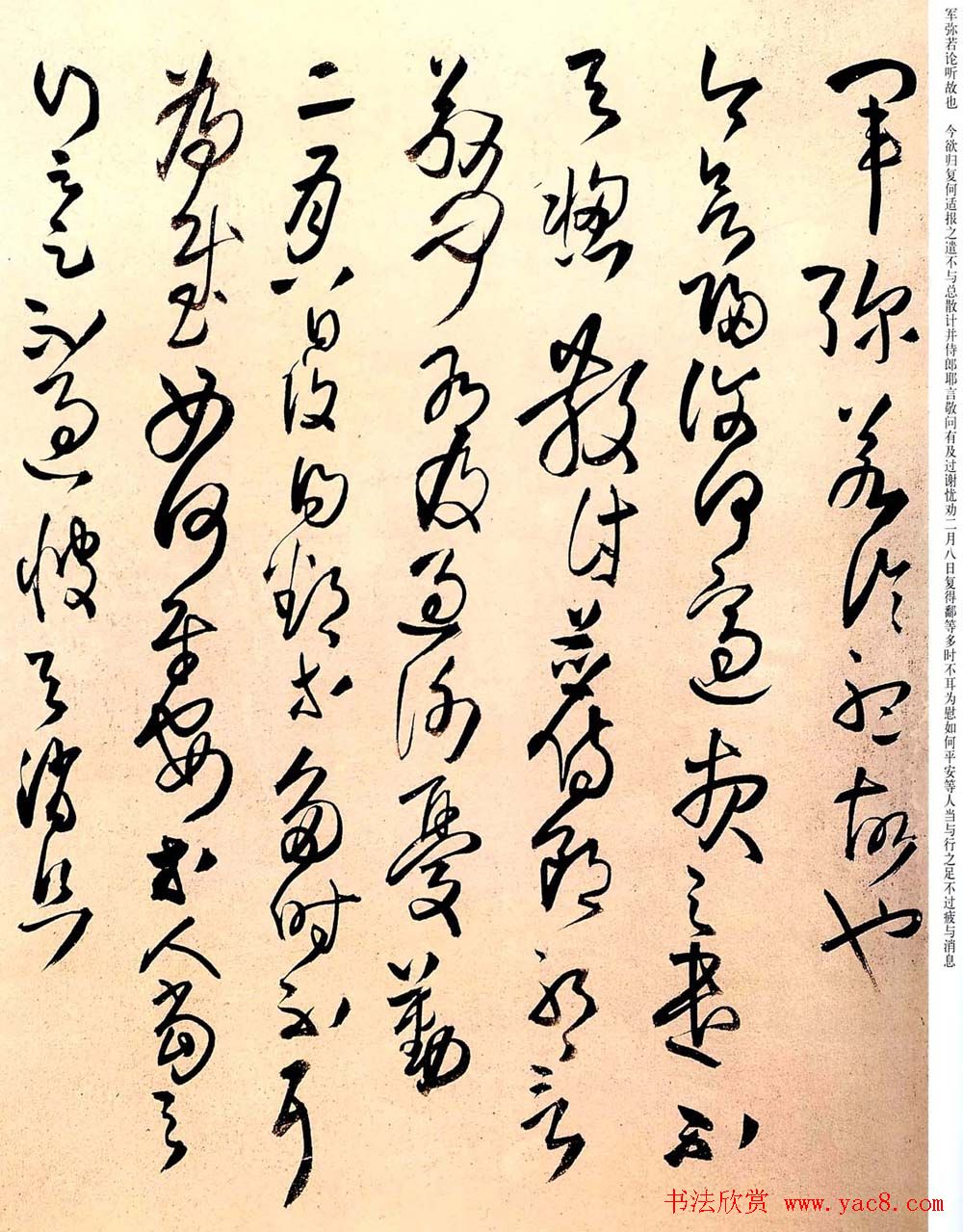 王铎草书欣赏拟汉张芝书法册页