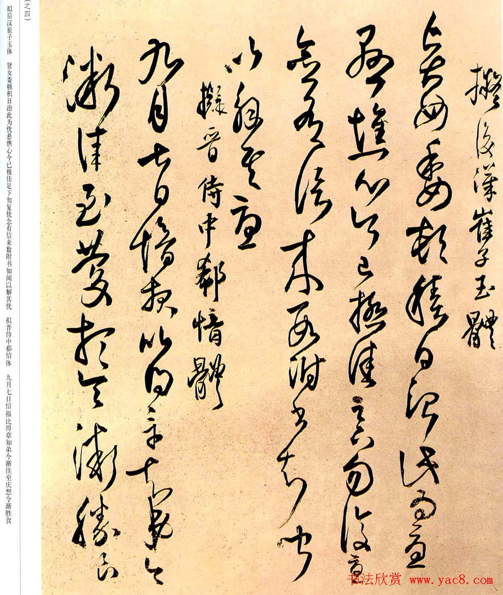 王铎草书欣赏拟汉张芝书法册页