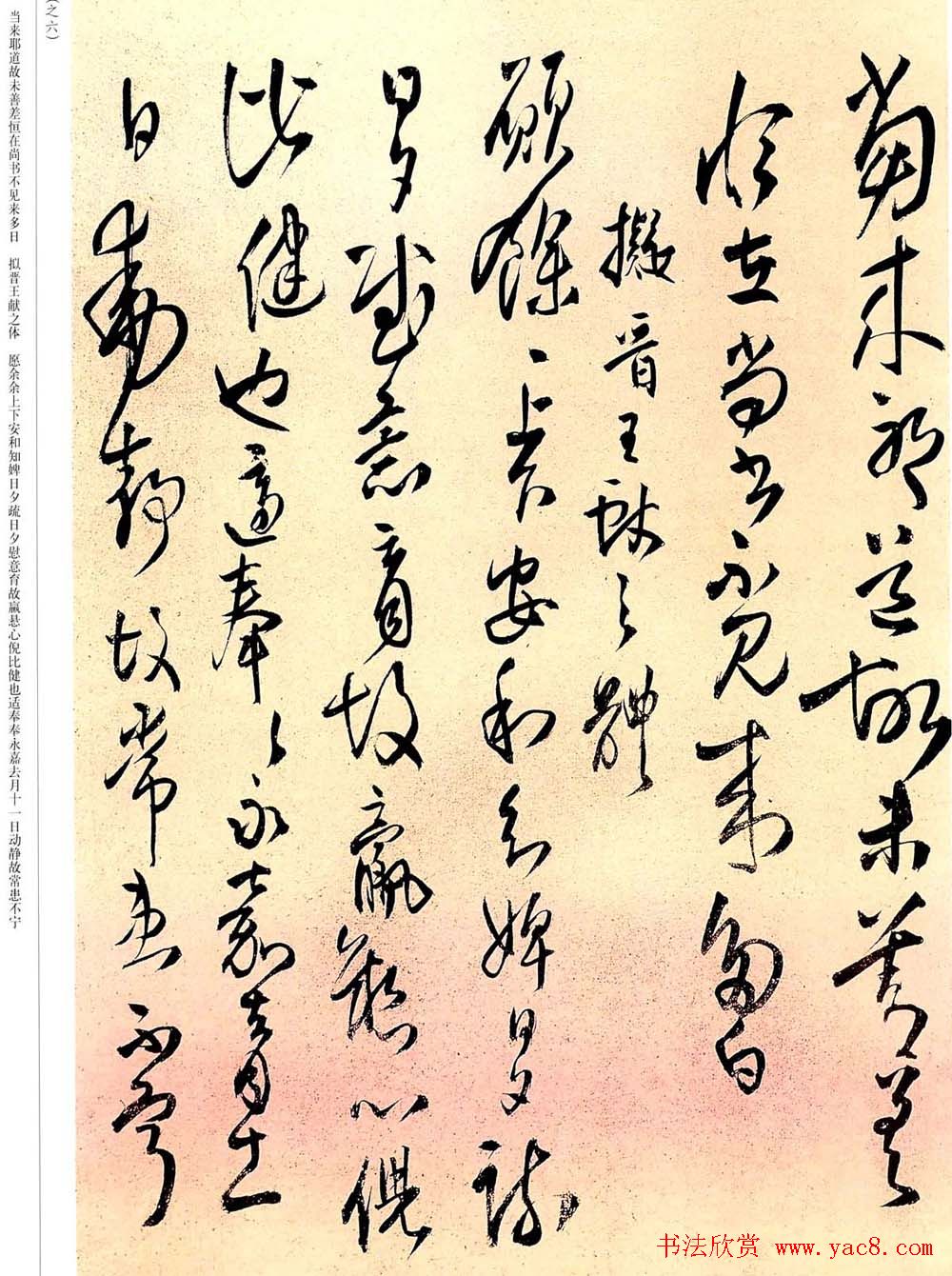 王铎草书欣赏拟汉张芝书法册页