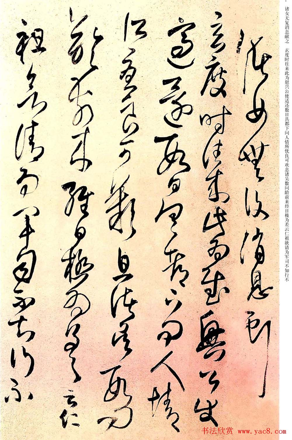 王铎草书欣赏拟汉张芝书法册页