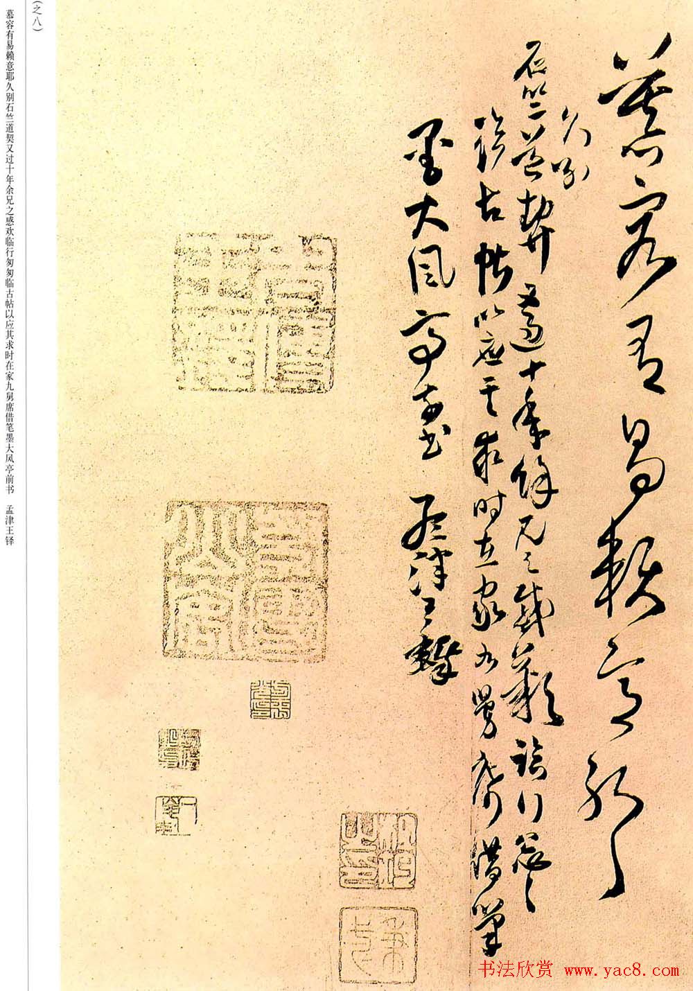 王铎草书欣赏拟汉张芝书法册页