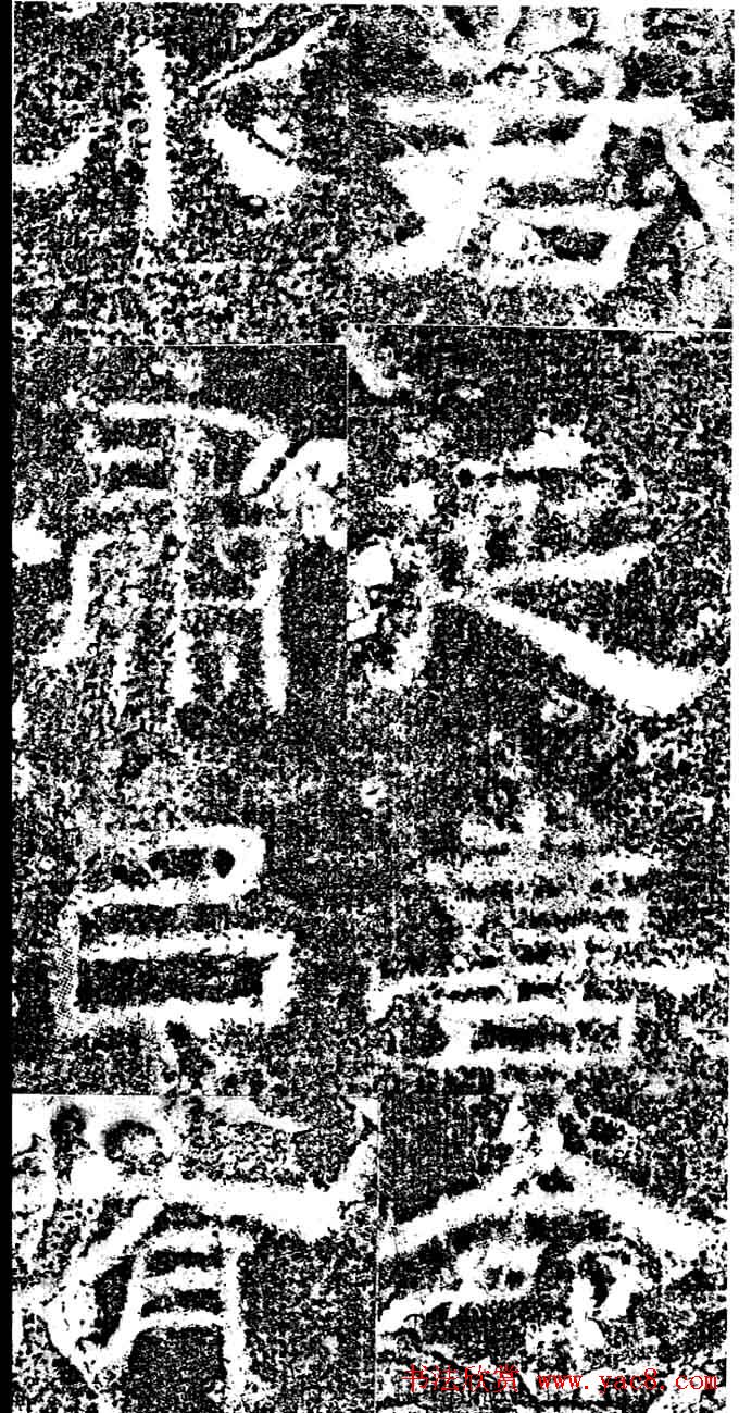 东汉隶书《汉故司隶校尉忠惠父鲁君碑》