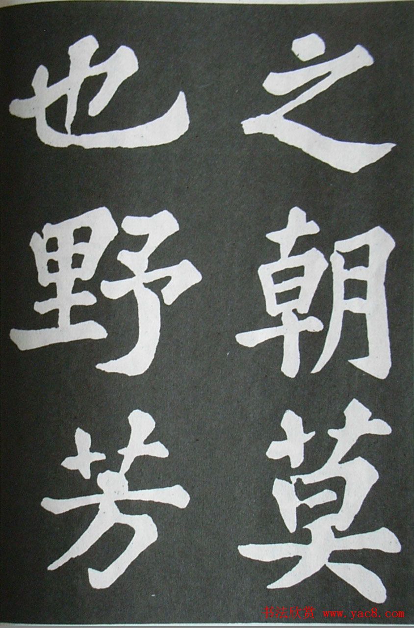 苏轼书法楷书字帖欣赏《醉翁亭记》