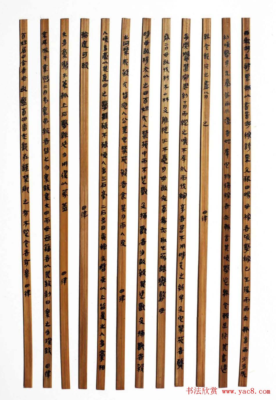 湖北丁华楚简书法作品欣赏