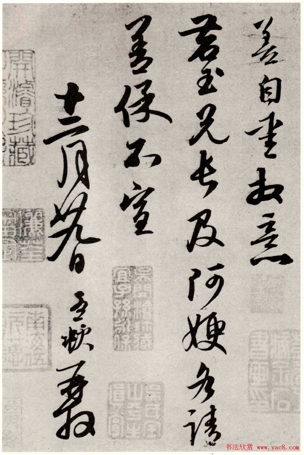 赵孟頫行书手札欣赏右之二兄帖