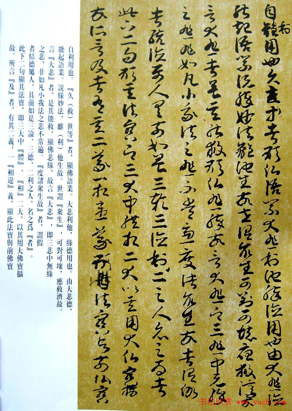 敦煌写经章草大乘起信论略述残卷