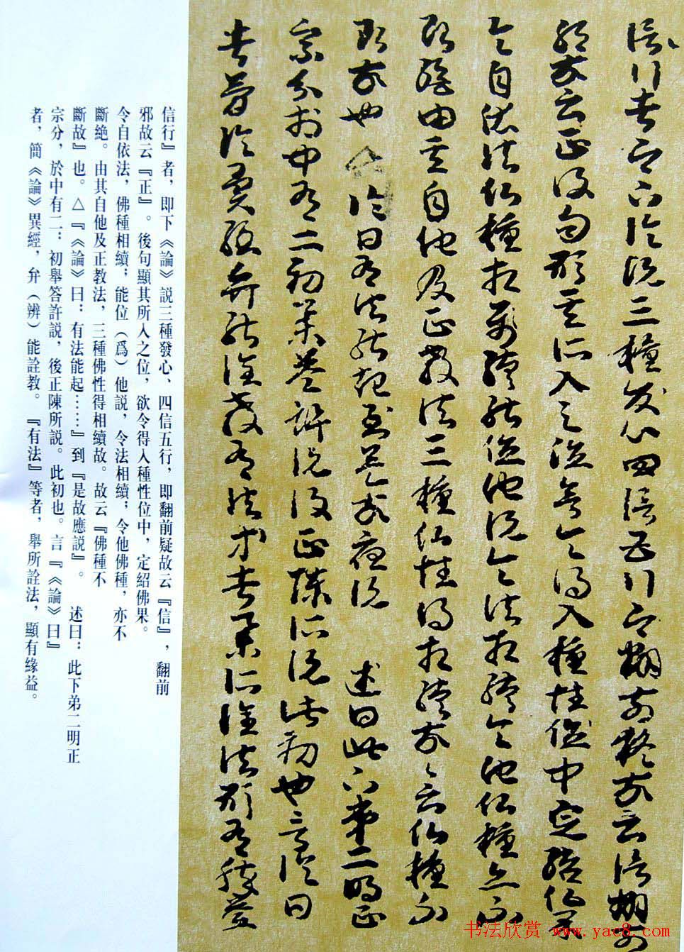 敦煌写经章草大乘起信论略述残卷