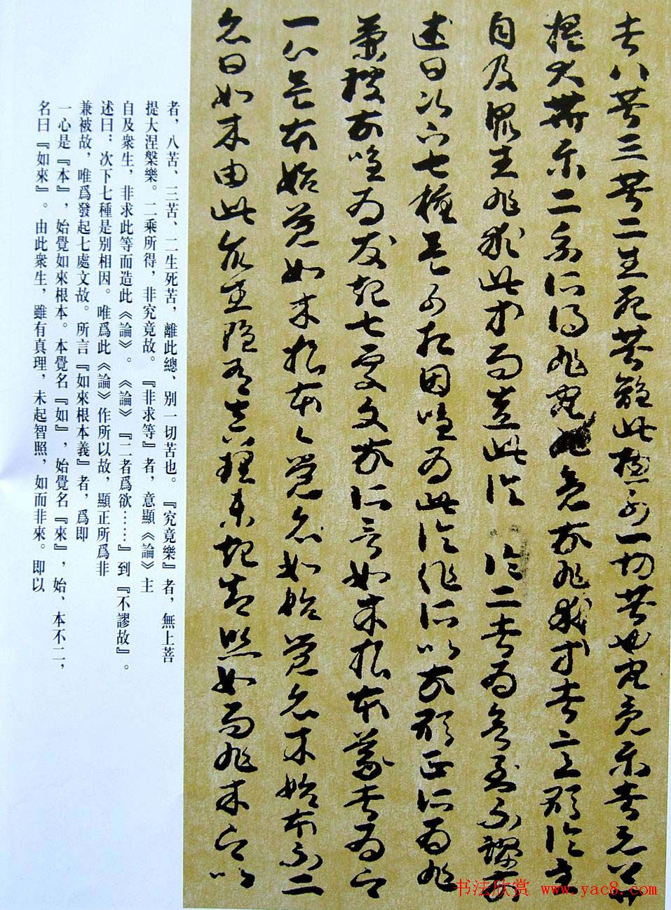 敦煌写经章草大乘起信论略述残卷