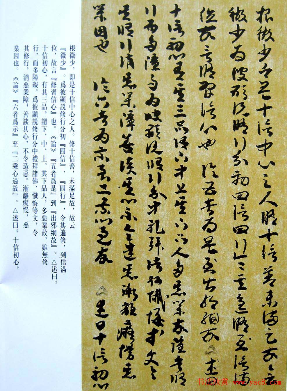 敦煌写经章草大乘起信论略述残卷