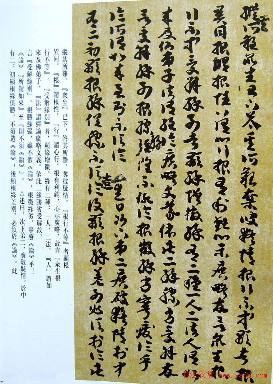 敦煌写经章草大乘起信论略述残卷