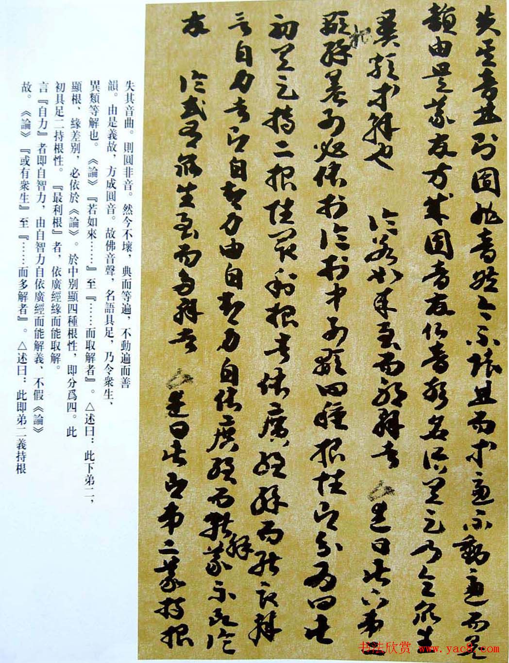 敦煌写经章草大乘起信论略述残卷