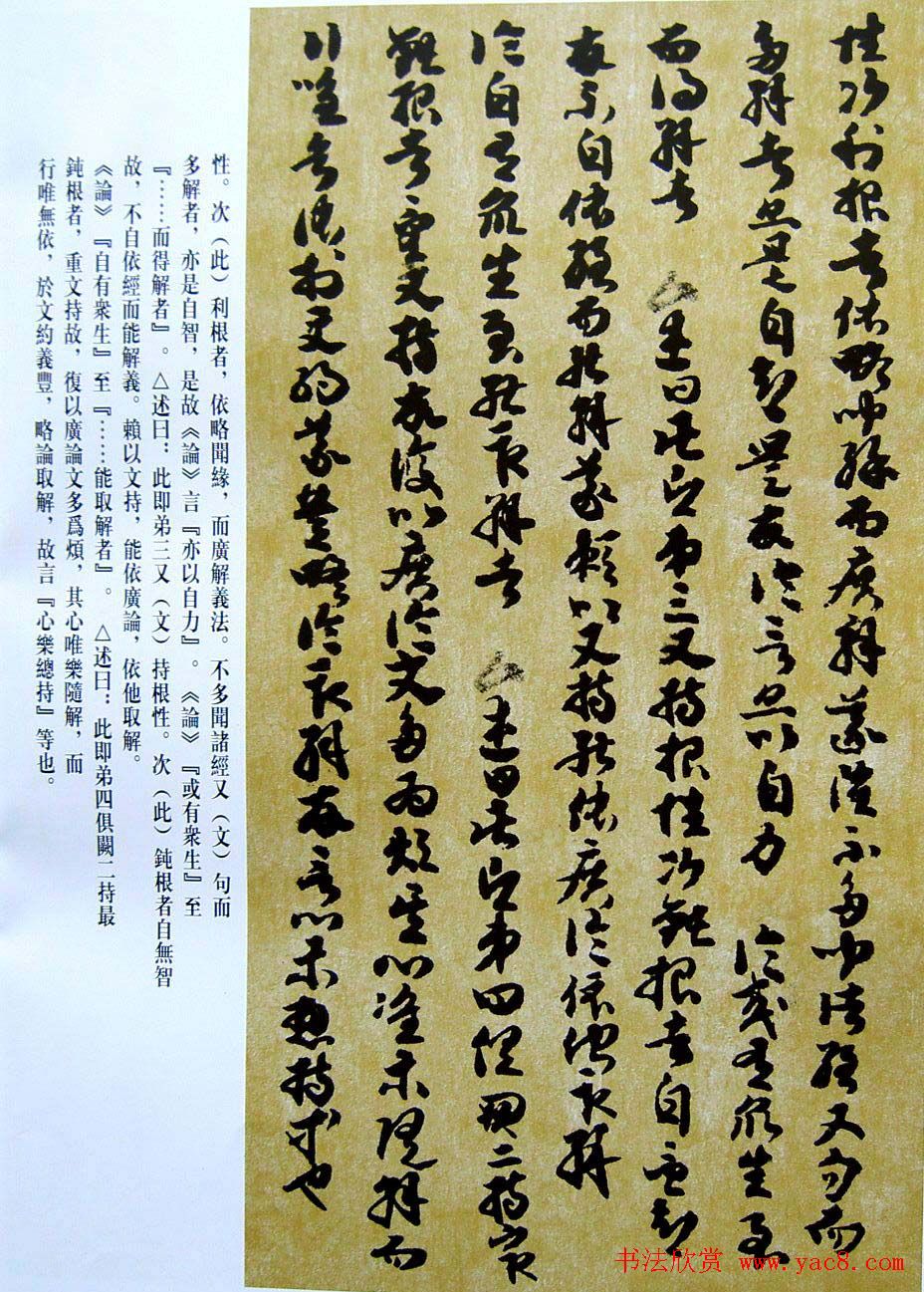 敦煌写经章草大乘起信论略述残卷