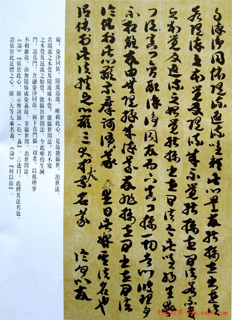 敦煌写经章草大乘起信论略述残卷