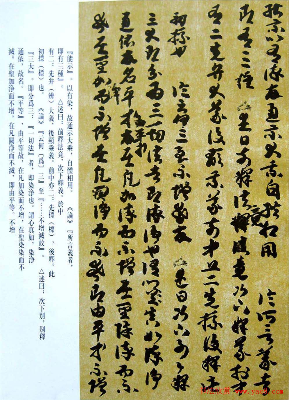 敦煌写经章草大乘起信论略述残卷