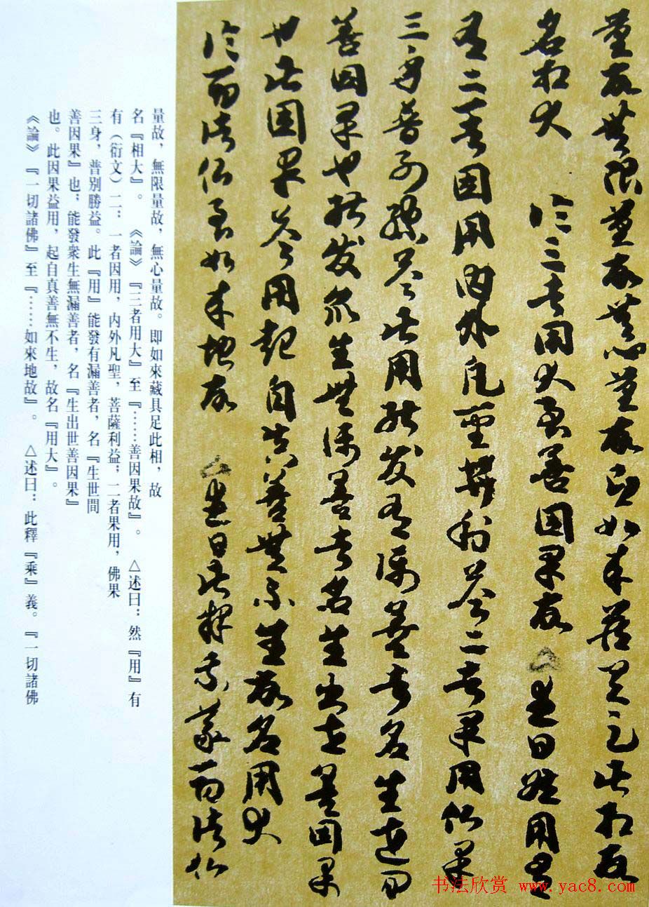 敦煌写经章草大乘起信论略述残卷