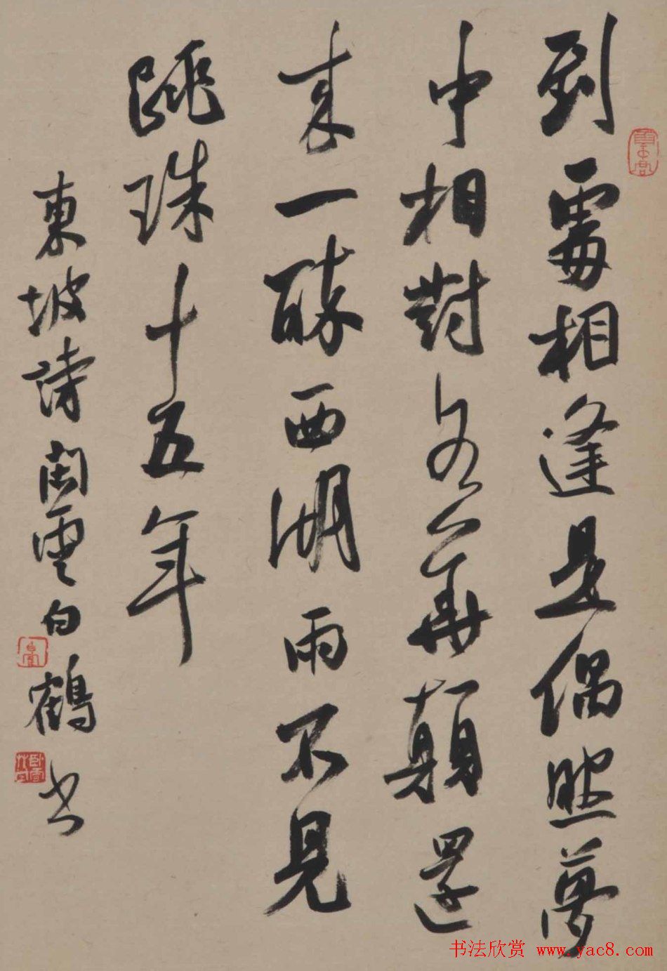 青年艺术家白鹤书法作品欣赏