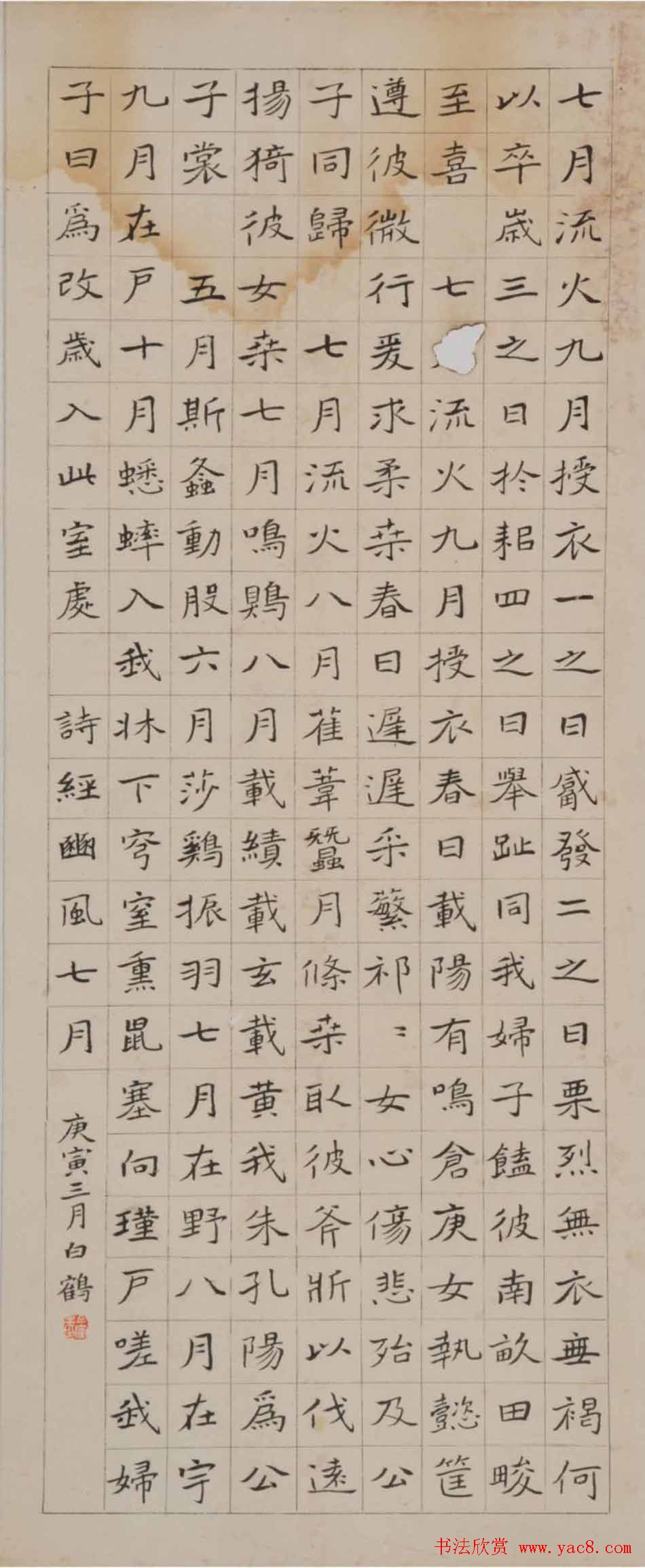 青年艺术家白鹤书法作品欣赏