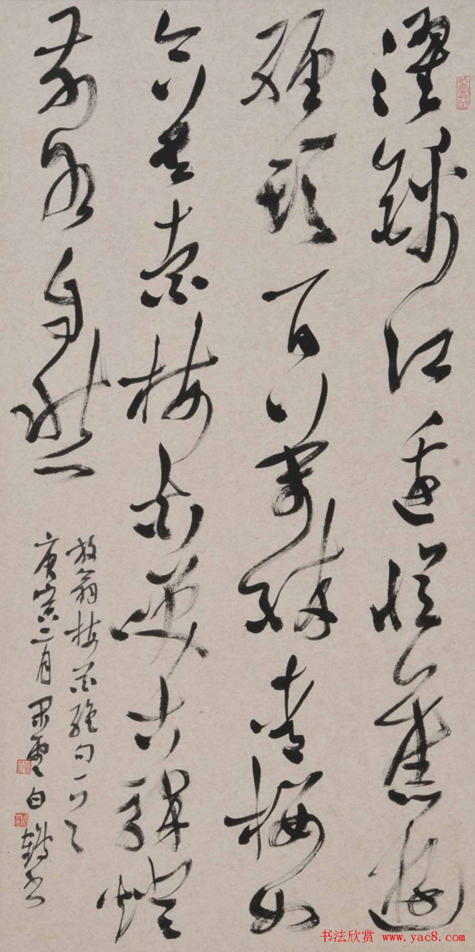 青年艺术家白鹤书法作品欣赏