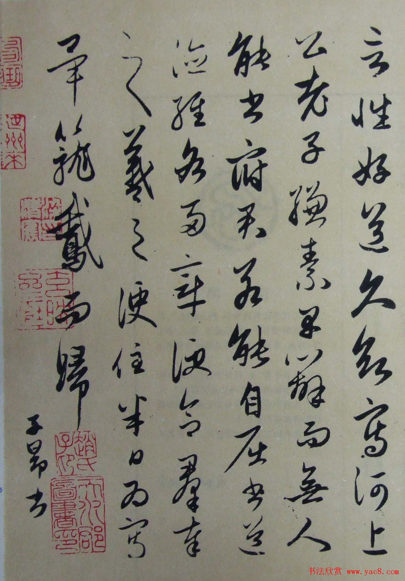 赵孟頫书法欣赏临写王羲之墨迹