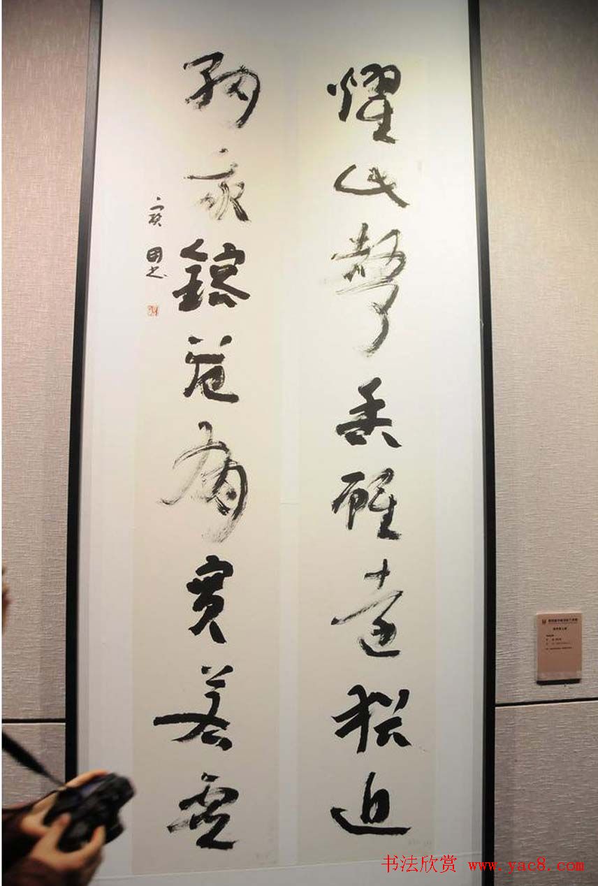 第四届中国书法兰亭奖佳作奖作品入展作品