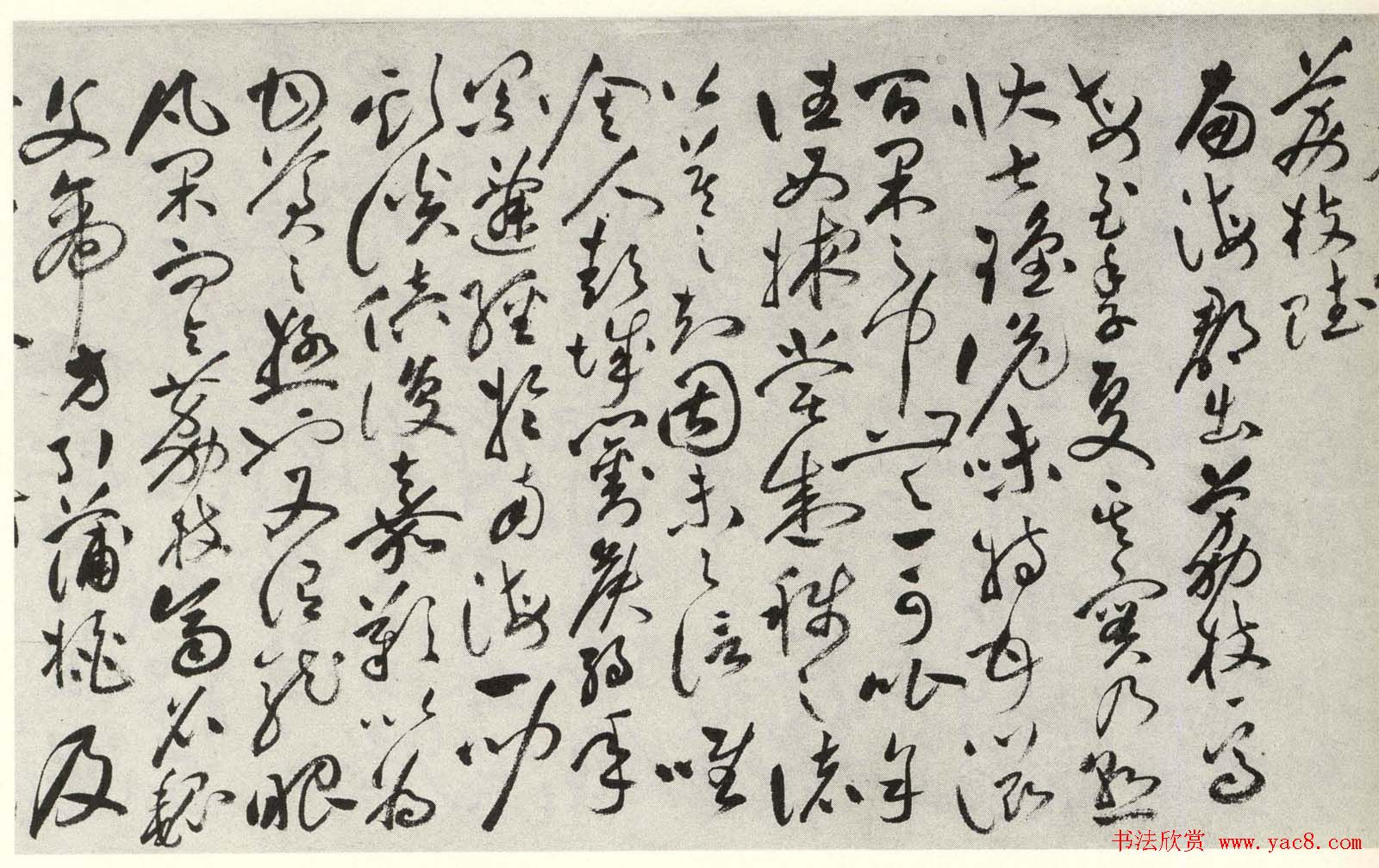 祝允明草书欣赏《晚晴赋+荔枝赋》卷