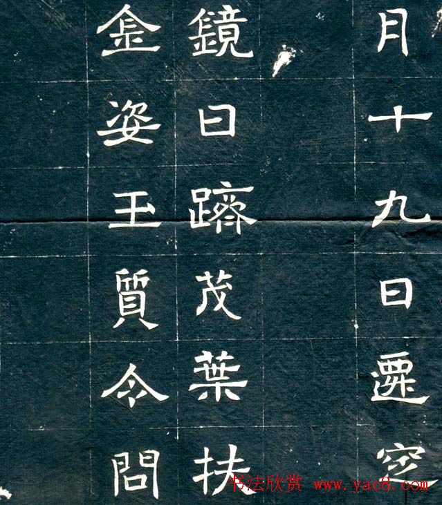 北魏隶书欣赏《元文墓志》