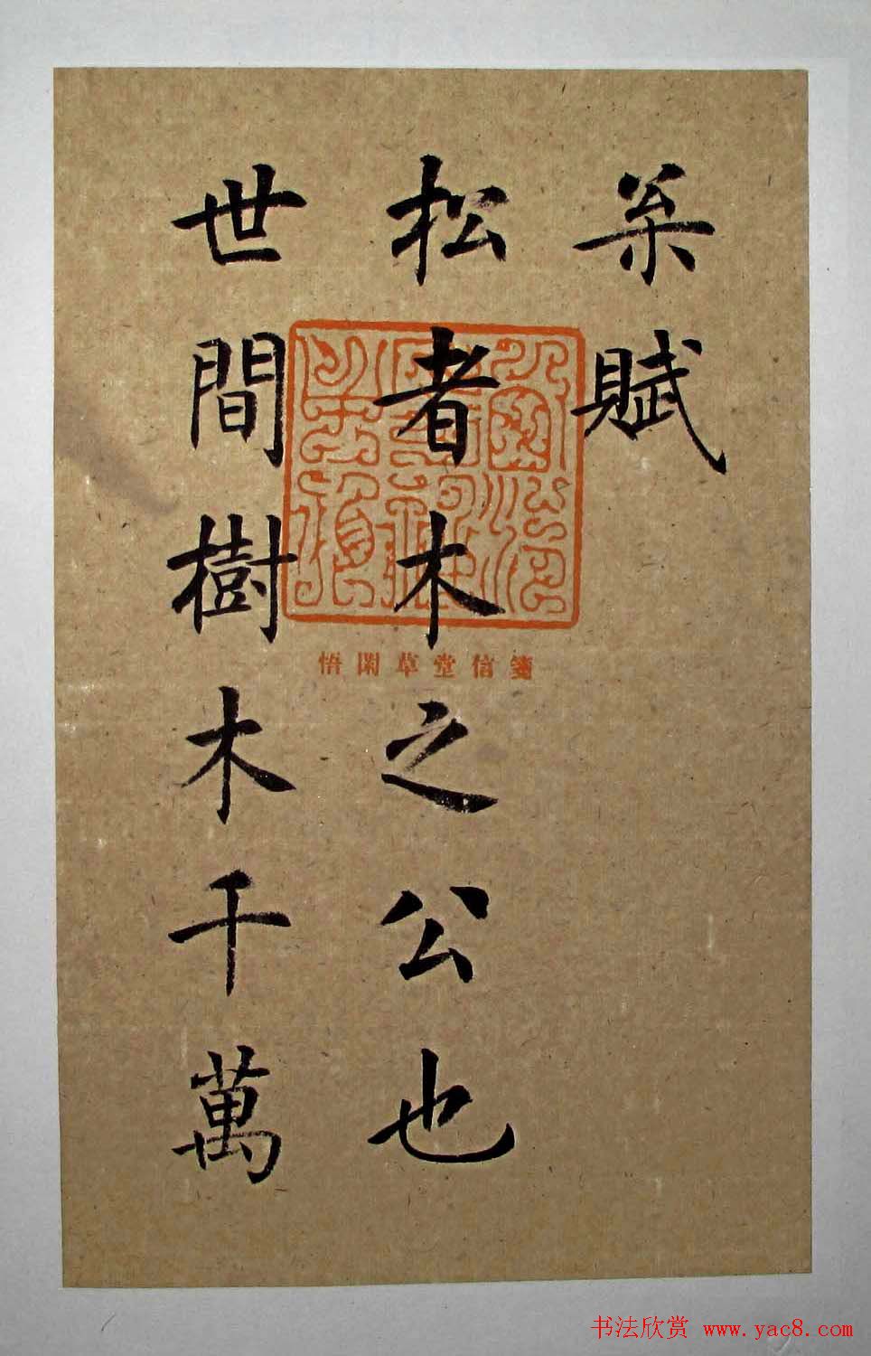 杨华书法楷书册页《松赋》