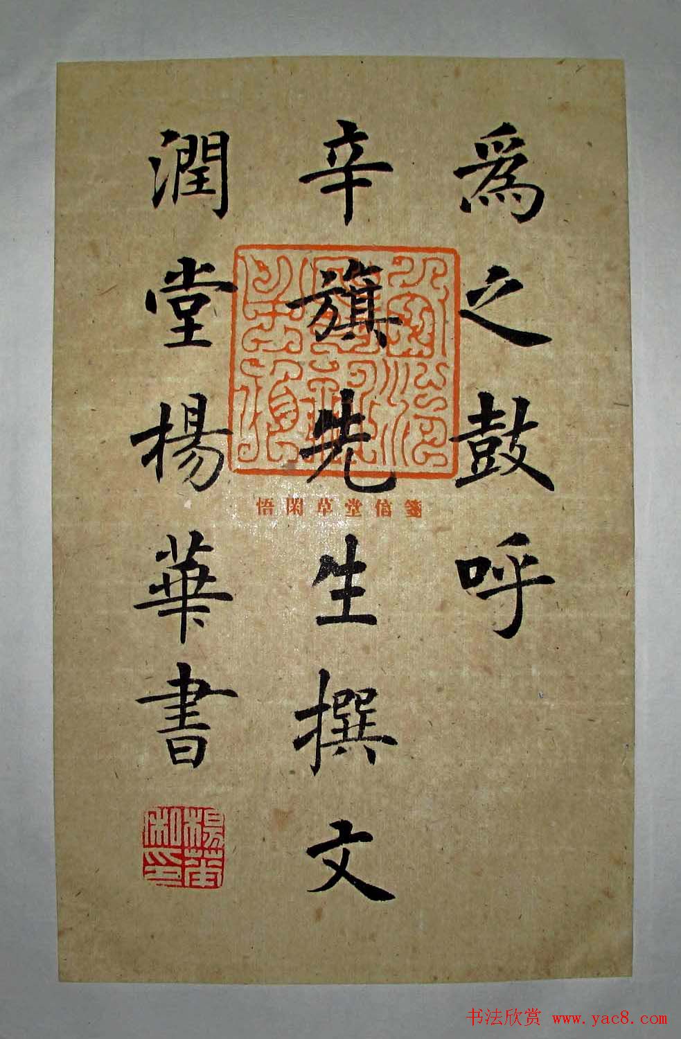 杨华书法楷书册页《松赋》