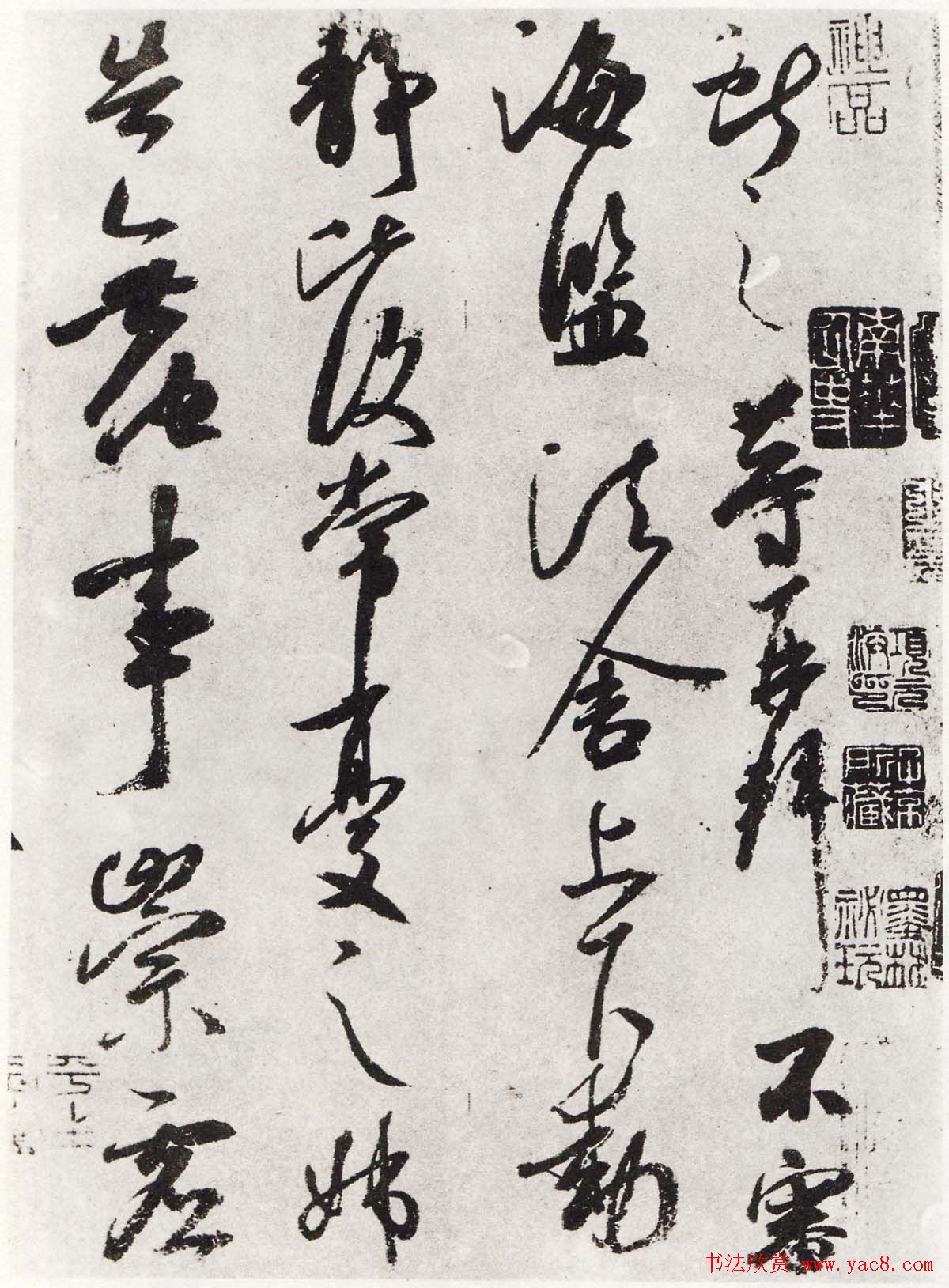 王献之行草书法作品《鹅群帖》七种