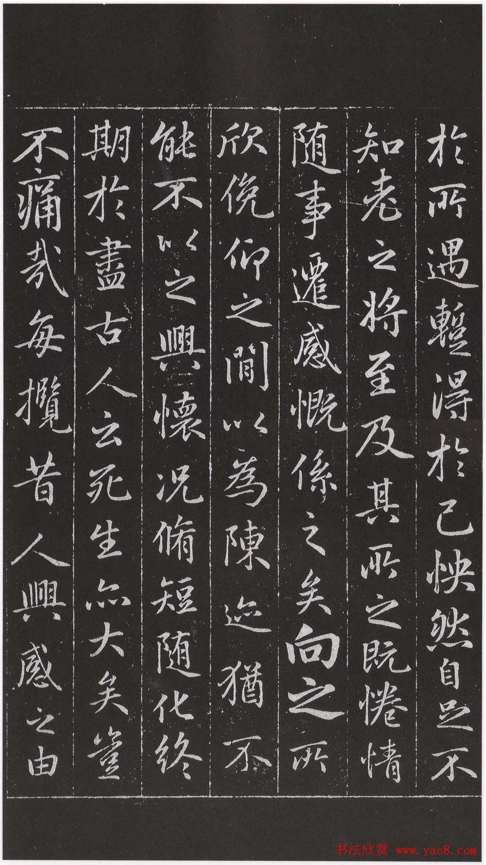 赵松雪书法勒石元拓本《乐善堂帖》