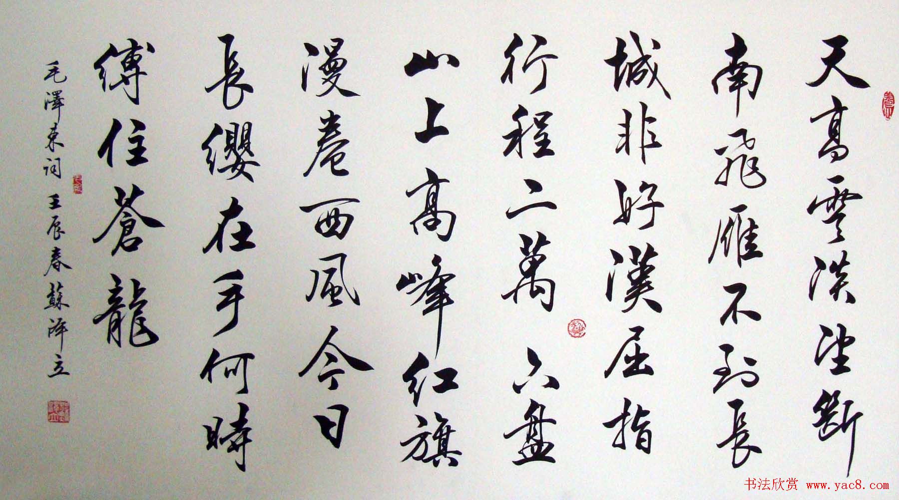 苏泽立书法行书作品欣赏