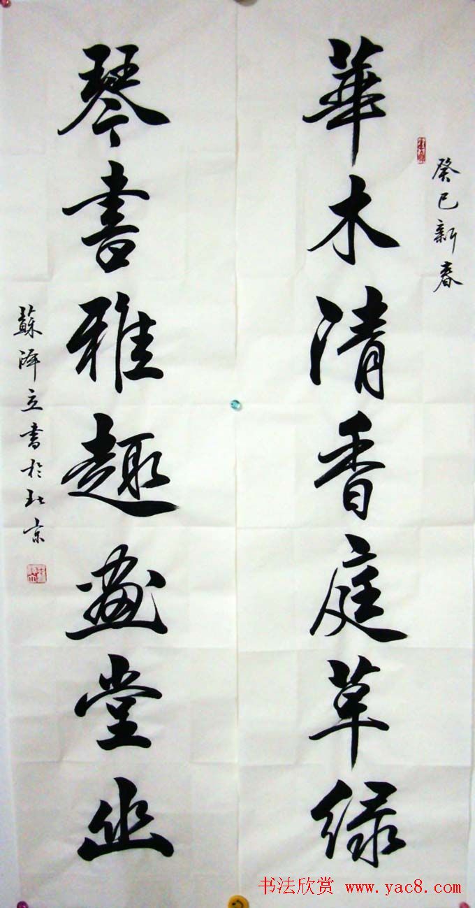 苏泽立书法行书作品欣赏