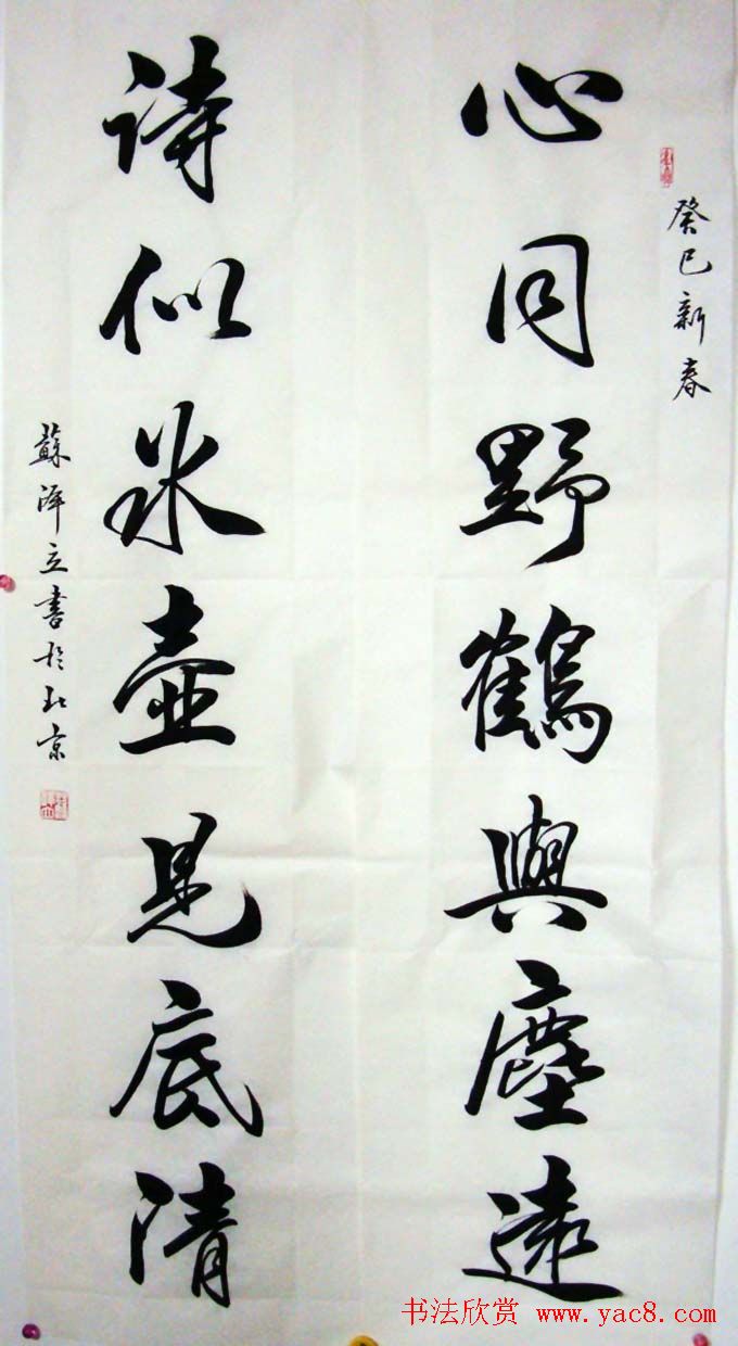 苏泽立书法行书作品欣赏