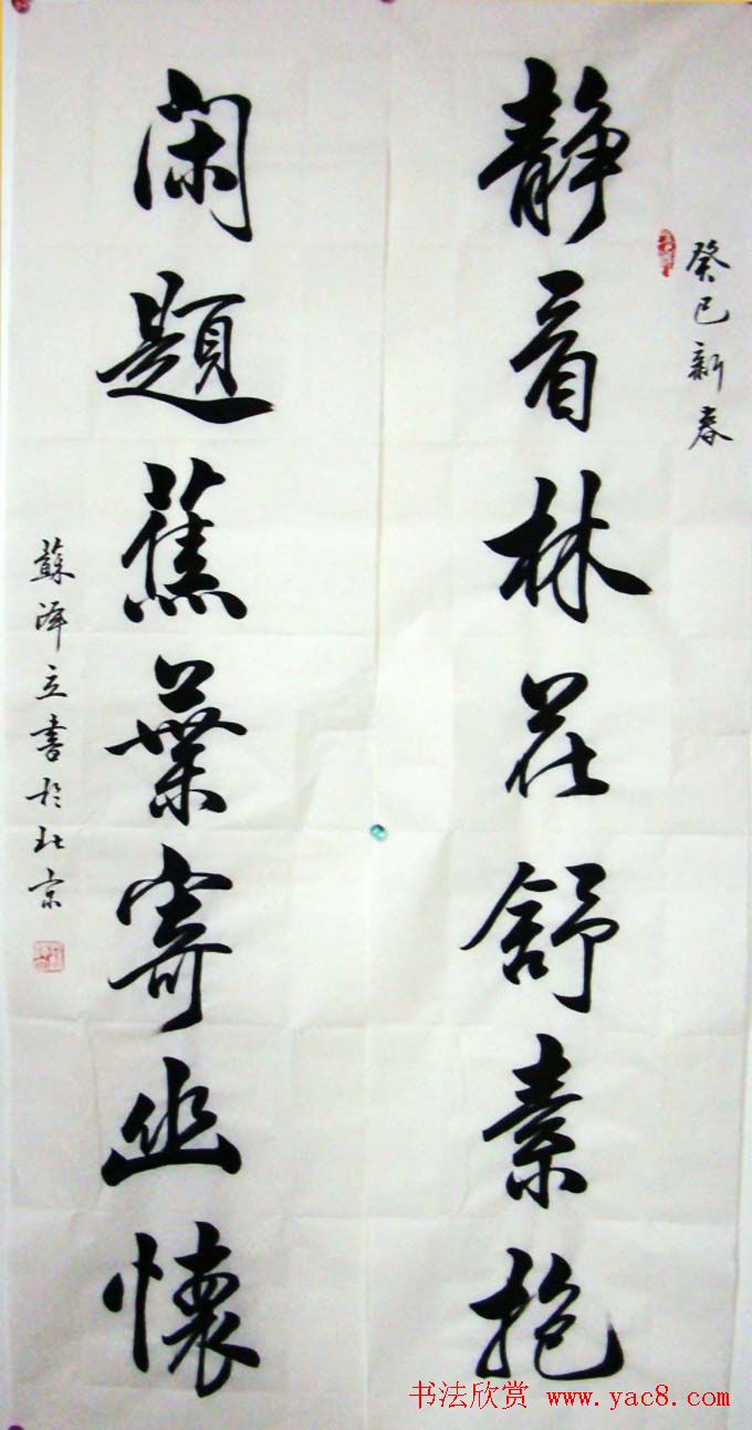 苏泽立书法行书作品欣赏