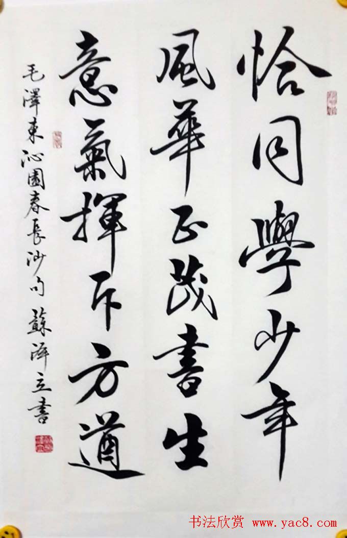 苏泽立书法行书作品欣赏