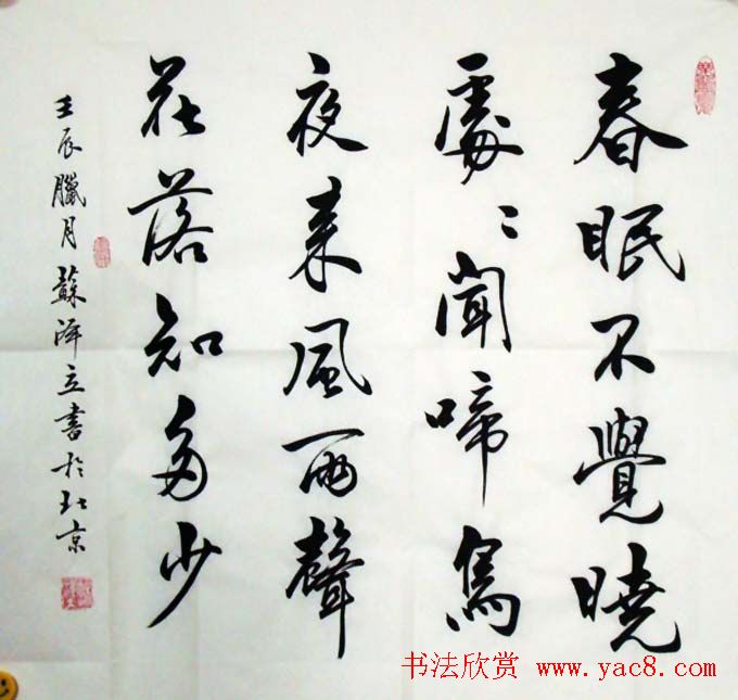 苏泽立书法行书作品欣赏