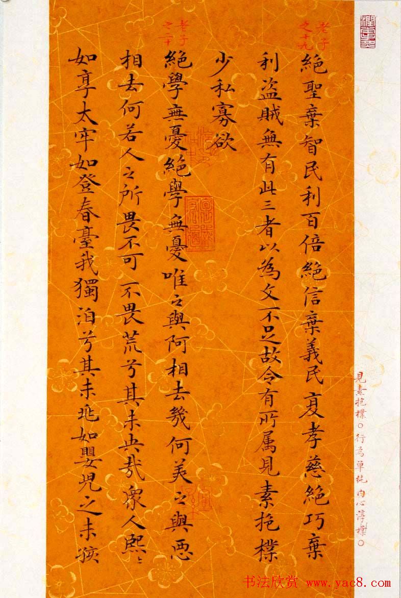 杨涵之楷书册页《老子道德经》选抄