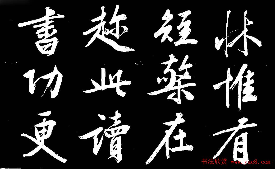 四绝全才文徴明行书欣赏《庭梧帖》