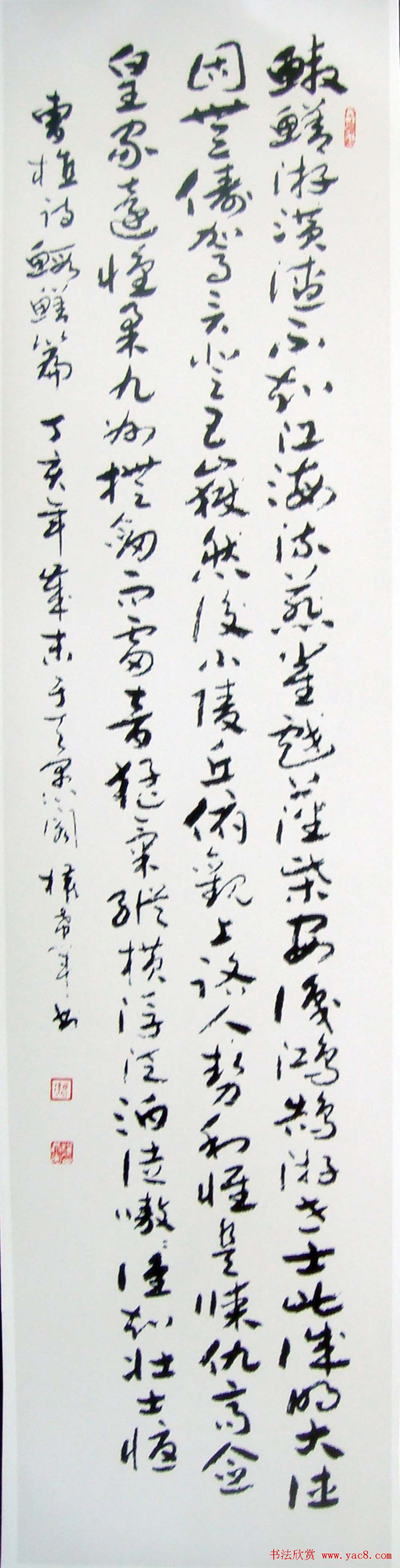 名家墨宝权希军书法作品欣赏