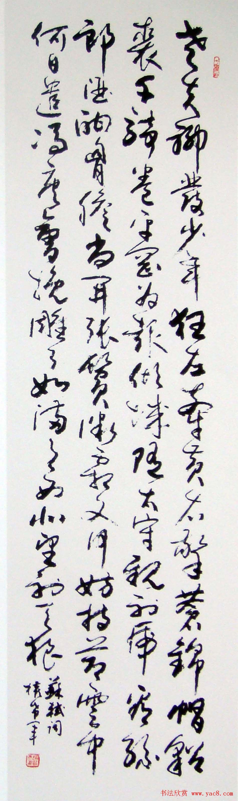 名家墨宝权希军书法作品欣赏