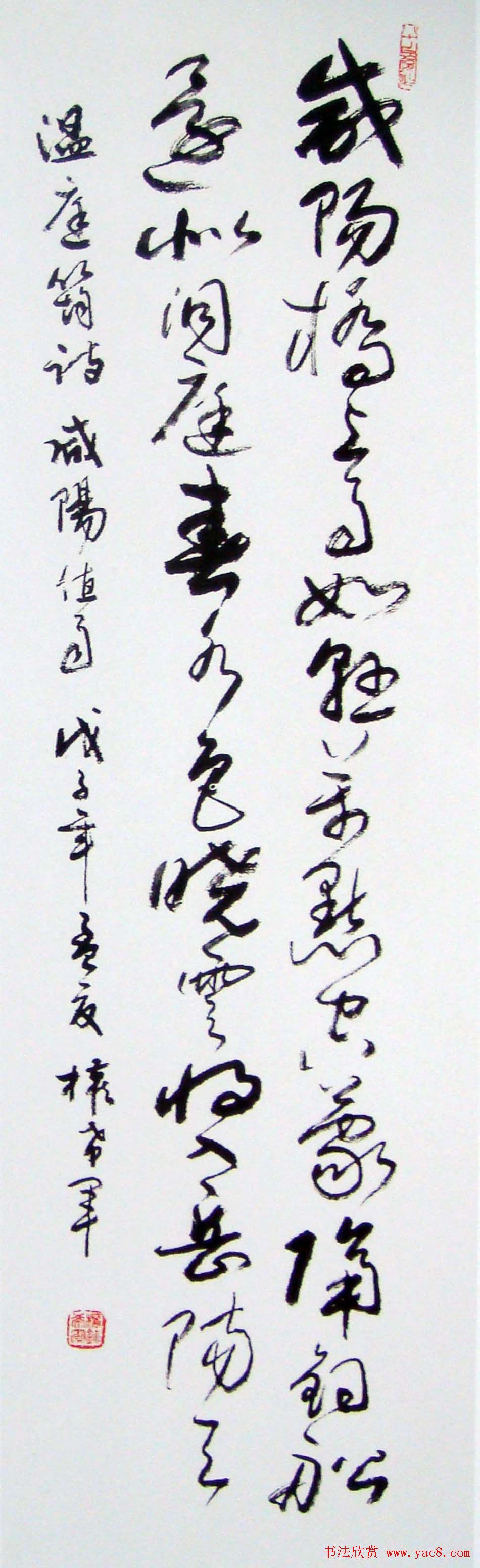 名家墨宝权希军书法作品欣赏