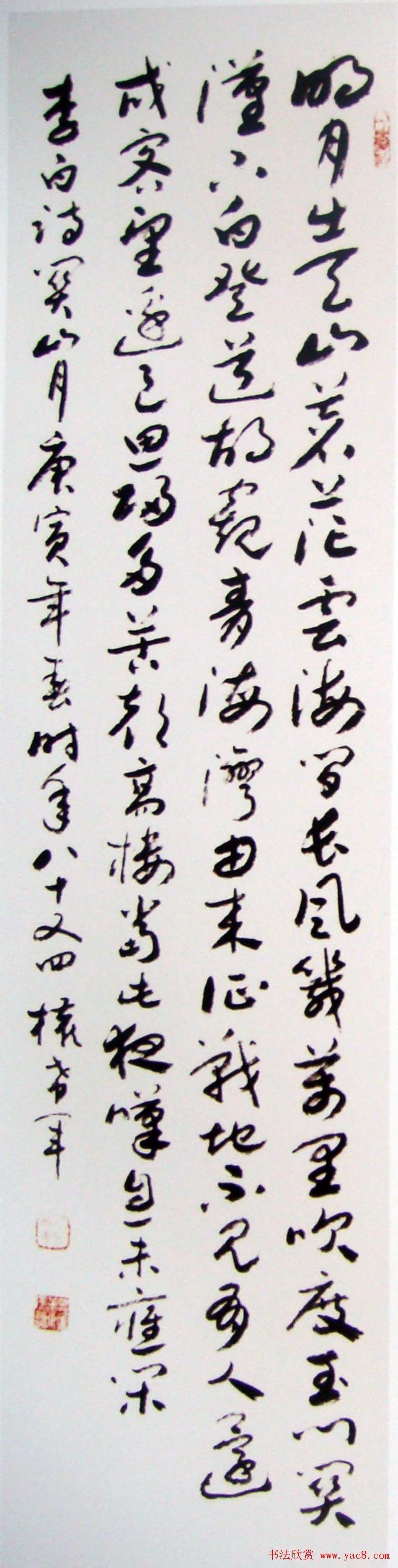 名家墨宝权希军书法作品欣赏