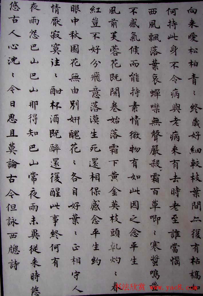 沈尹默小楷书法欣赏《秋明室杂诗》