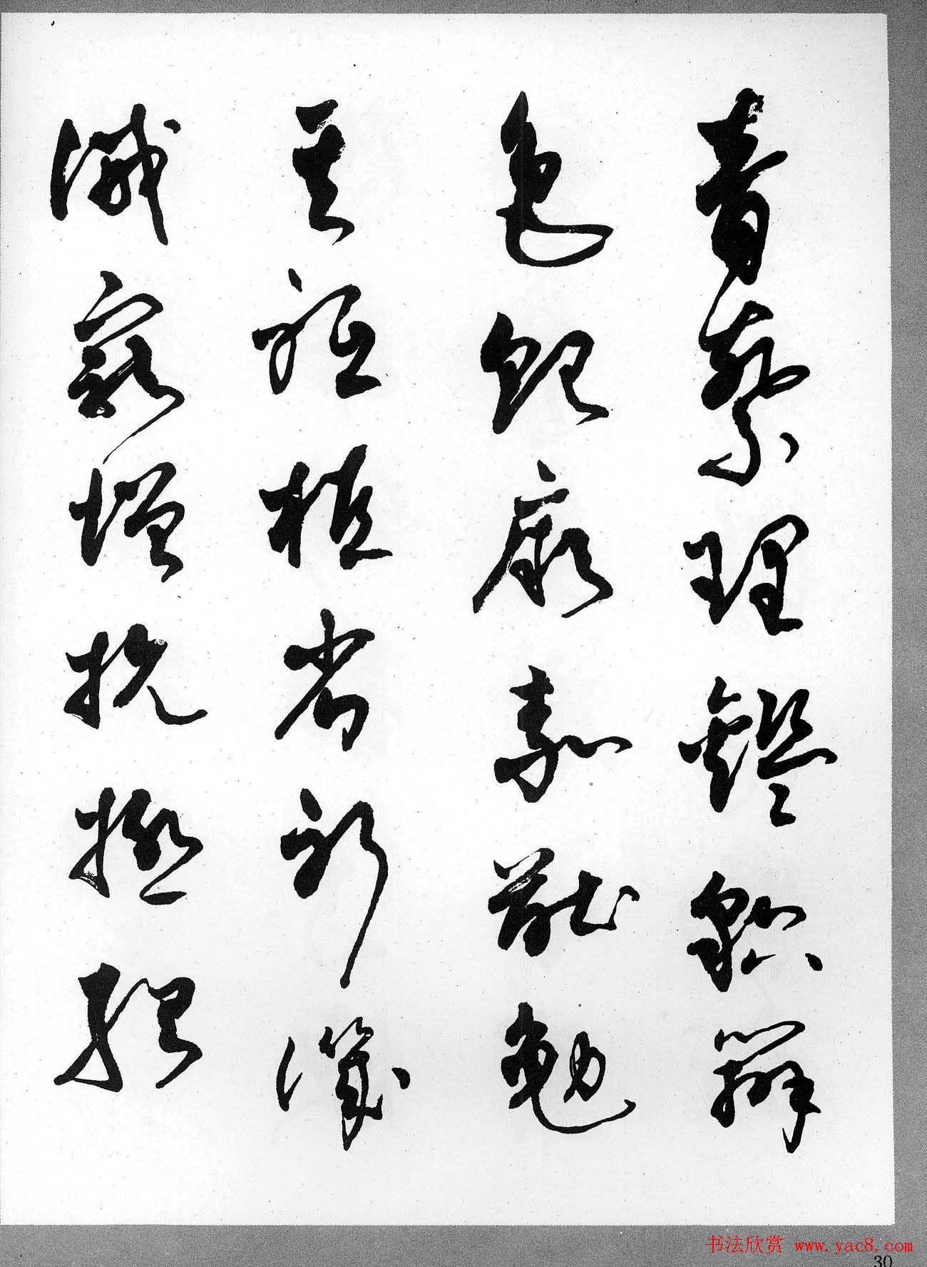 草书字帖欣赏《柳倩草书千字文》