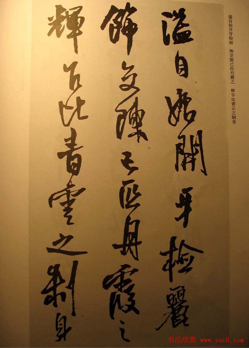 王铎行书欣赏《梁简文帝萧纲骈文摘句》