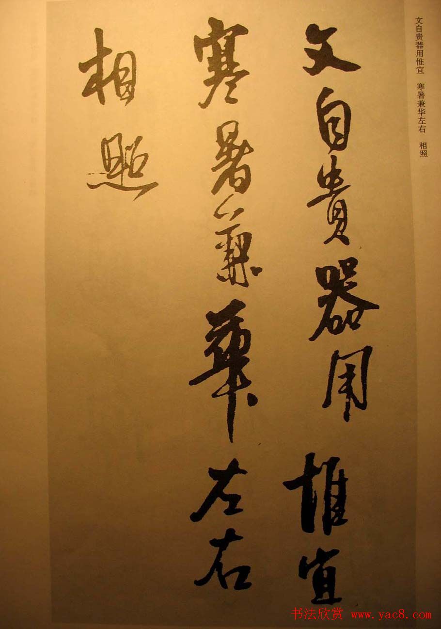 王铎行书欣赏《梁简文帝萧纲骈文摘句》